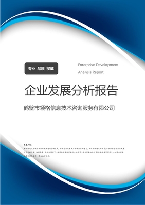 鶴壁市領格信息技術咨詢服務企業(yè)發(fā)展分析報告